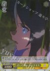  UMA/W119-008S SR 託した願い フジキセキ 
