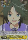  UMA/W119-010S SR 先輩ウマ娘 フジキセキ 