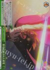  UMA/W119-053R RRR 歴史に刻まれた偉業 