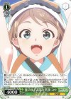  YHN/W111-T08 TD 夏に咲く満開の笑顔 ヨウ 