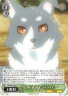 YHN/W111-033 U 受け取った魔法 ライラプス 