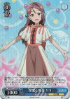  YHN/W111-085S SR 探求心旺盛 リコ 