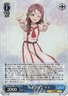  YHN/W111-086S SR 似た者同士 リコ 