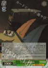  YRC/W116-012S SR テントin瑞牆山 