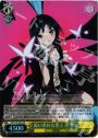 SR 追い求める果て 黒雪姫