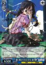 SP 猫に魅せられた少女 羽川翼(サイン入り)