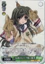 R 伝説のヒトデ使い風子