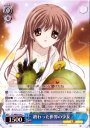 C 終わった世界の少女