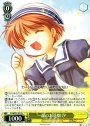 PS 一面のお花畑 汐