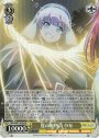 SR 夏の風物詩 ひな