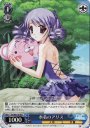 R 水着のアリス