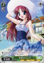 R 水着のことり