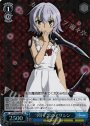 SR “凶行”黒のアサシン