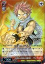 SP 妖精の尻尾の魔導士 ナツ(サイン入り)