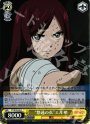 R “悠遠の衣”エルザ
