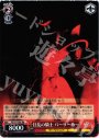 RR 狂乱の騎士 バーサーカー