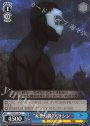C “妄想幻像”アサシン