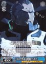 C “ビルサルドの熱情”ベルベ