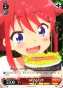 C お花見 万博