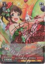 SP はじける夏の味♪ 佐竹美奈子(サイン入り)