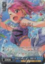 SP 常夏パラダイス! 舞浜歩(サイン入り)