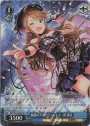 SP 魅惑のアクアヴィーナス 所恵美(サイン入り)