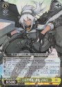 SR 大和型戦艦2番艦 武蔵改二