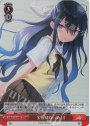 SR 宝物になった日