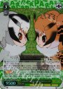 RRR この島の長 アフリカオオコノハズク&ワシミミズク
