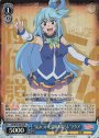 SR “沁みついた冒険者暮らし”アクア