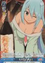 SR 私財差し押さえ