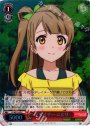 S-C デザイナー ことり(ホロ)
