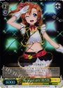 XR “No brand girls”穂乃果(サイン入り)