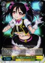 XR “No brand girls”にこ(サイン入り)