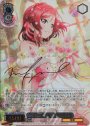 SP “つぼみ開き、大輪の花”西木野 真姫(サイン入り)