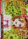 SP 僕たちはひとつの光(サイン入り)