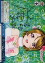 SP 僕たちはひとつの光(サイン入り)