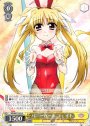 R バニーガール フェイト
