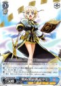 RR 殲滅の白い光 はやて