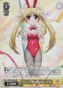 SR バニーガール フェイト