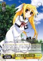 C 先輩として フェイト