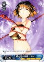PR 闇の書の呪縛 はやて