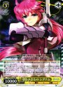 RR 守るべきもの シグナム
