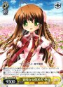 RR “親愛なる探求者”小鳥