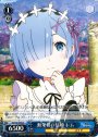 R 無条件の信頼 レム