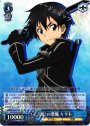RR 《二刀流》の悪魔 キリト