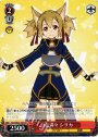 TD 自信満々 シリカ