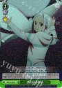 R 盾による対抗