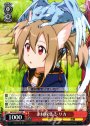 RR 素材採集 シリカ