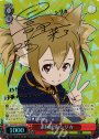SP 素材採集 シリカ(サイン入り)